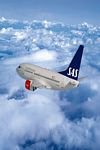 pic for Scandinavian Airlines 